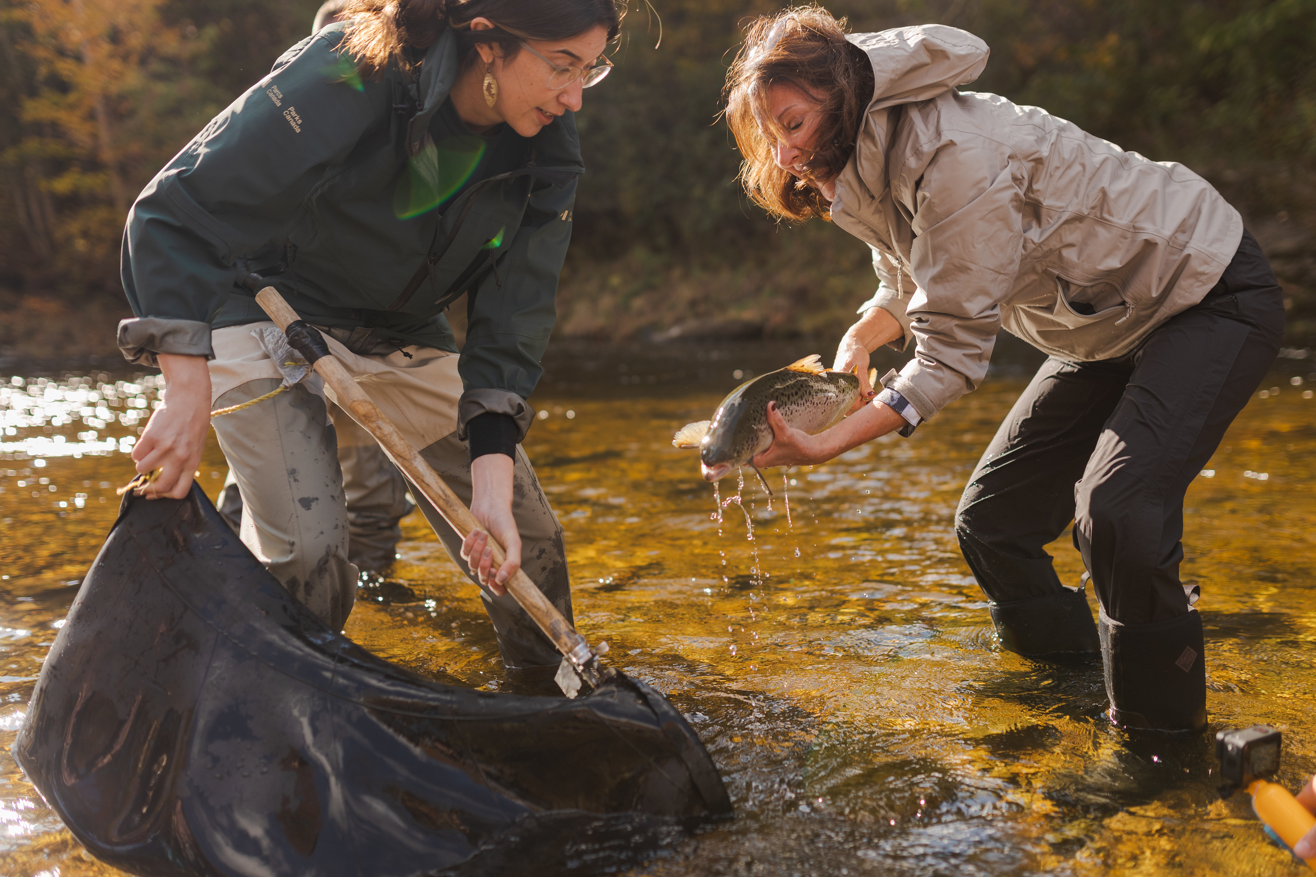 Two women catching a salmon in a river